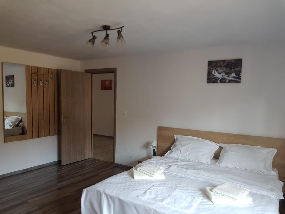 Hotel Viata La Tara Cerna à Cerna  Extérieur photo