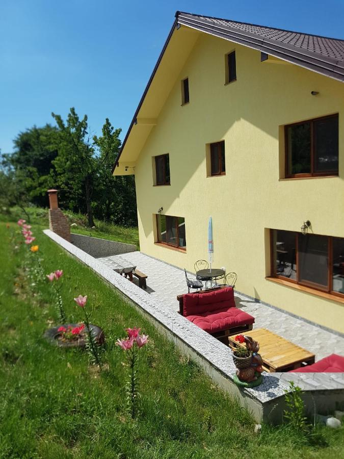 Hotel Viata La Tara Cerna à Cerna  Extérieur photo